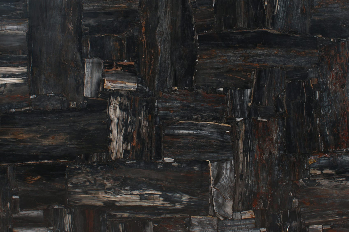 BLACK PETRIFIED WOOD JURASSIC