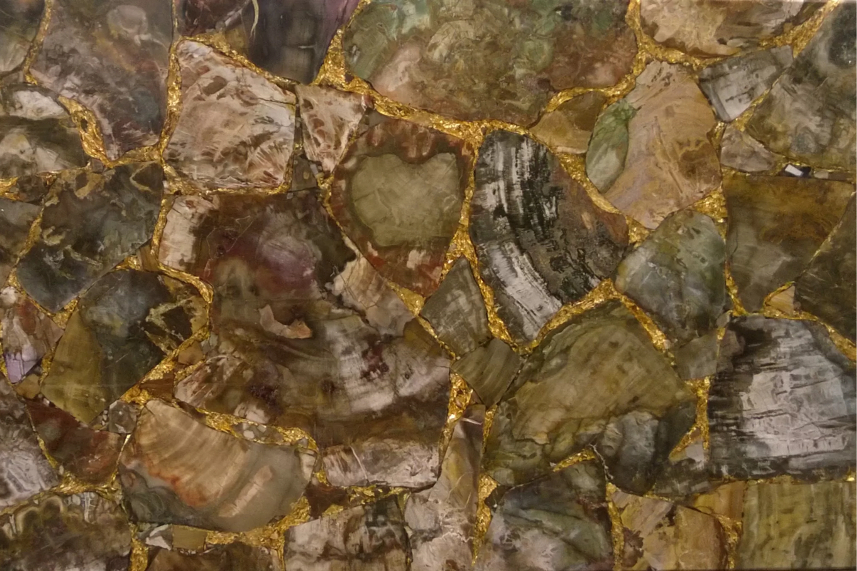 PETRIFIED WOOD BROWN GOLD