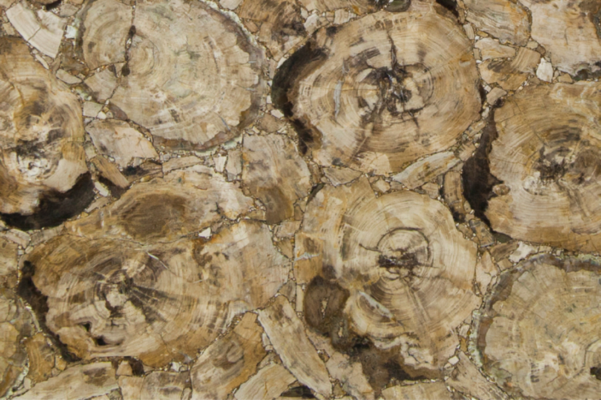 PETRIFIED WOOD BEIGE