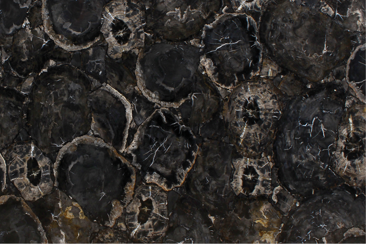 PETRIFIED WOOD BLACK