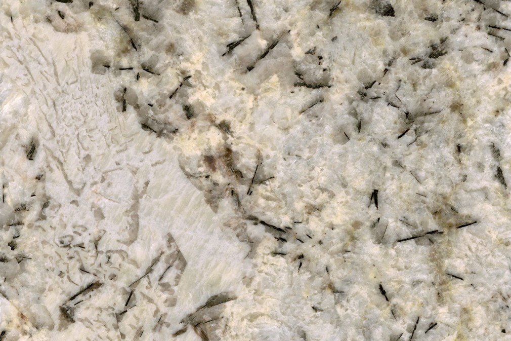 Crema Antarctica