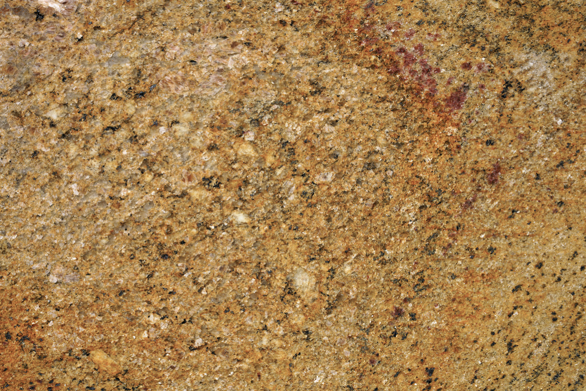 Ghibli Gold