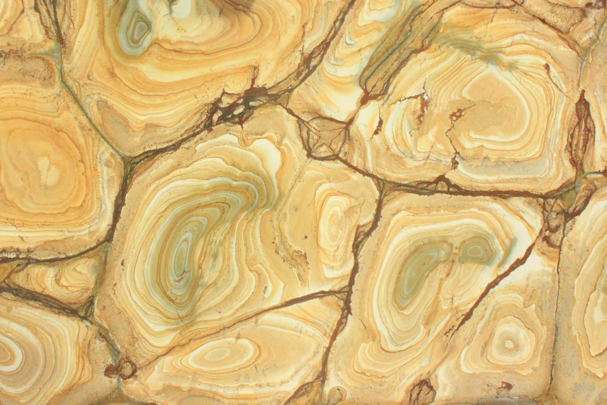 Stone Wood