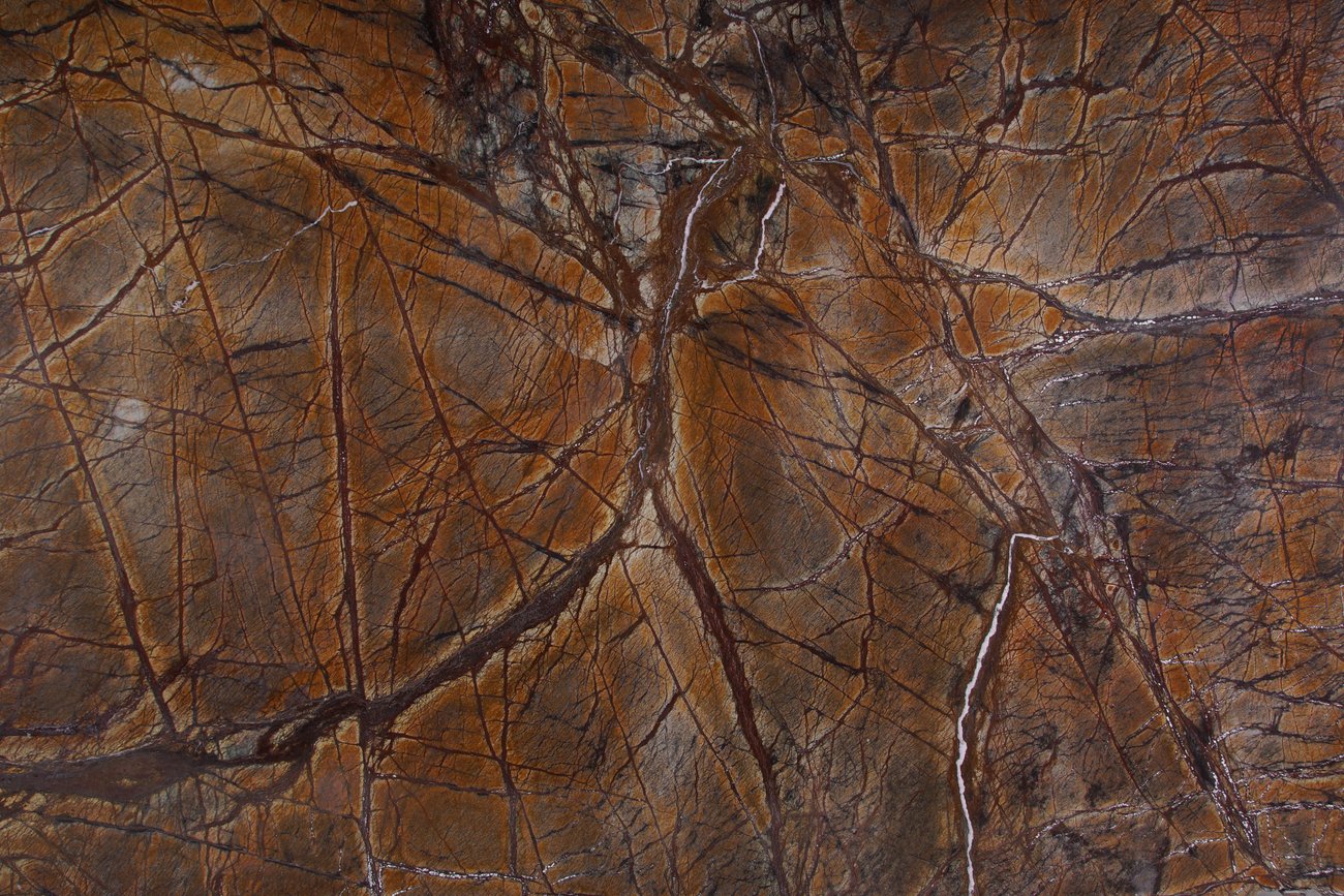 Bidasar Brown