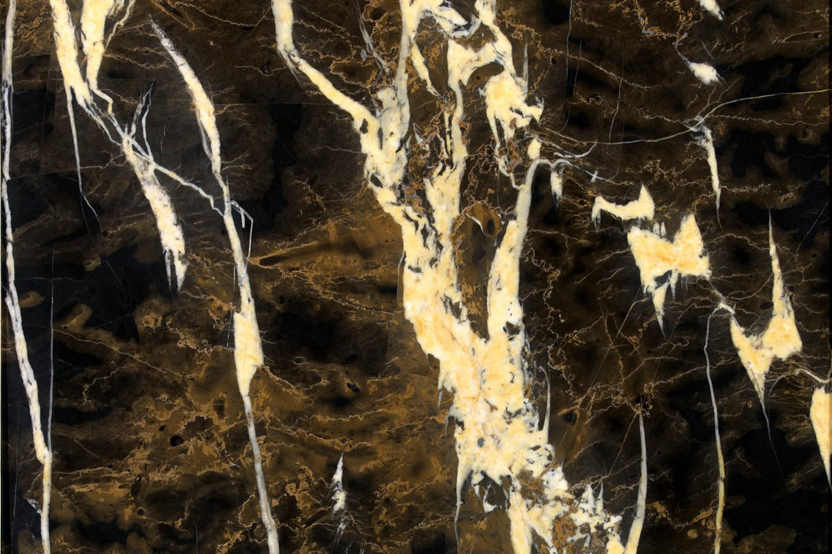 Black and Gold