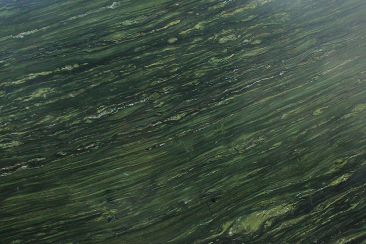 Verde Dorato
